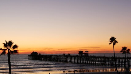 Obraz na płótnie Canvas Palms silhouette on twilight sky, California USA, Oceanside pier. Dusk gloaming nightfall atmosphere. Tropical pacific ocean beach, sunset afterglow aesthetic. Dark black palm tree, Los Angeles vibes.
