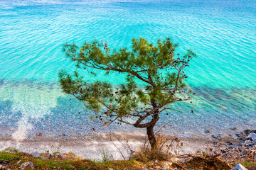 Dilek Peninsula National Park in Kusadasi Town of Turkey.