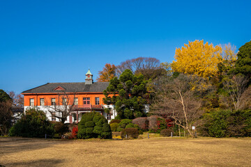 Obraz premium 小石川植物園
