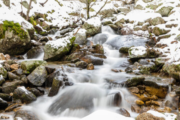 Fototapeta premium Snowy landscapes, in the month of February, in the mountains of Madrid