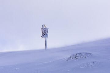 frozen sign