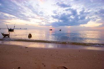 sunset on the beach ,Fishing boats at sunset, Bang Lamung, Chon Buri, Thailand