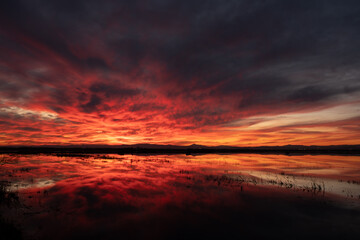 Fototapeta na wymiar Red sunset in the Valencia lagoon.