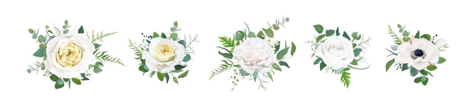 Vector floral bouquet set, editable design elements. Light yellow garden cabbage and peony roses, white anemone flowers, tender greenery eucalyptus, branches, fern leaves, ranunculus buds illustration