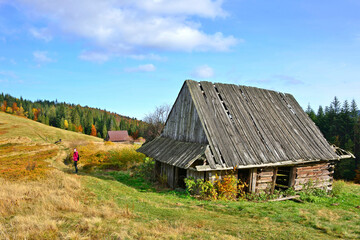 Fototapeta premium Old wooden hut in the autumn meadow, Gorce mountains, Poland