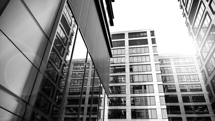 Fototapeta premium Bottom view of modern skyscrapers in business district against sky. Looking up at business buildings in downtown. Rising sun on the horizon. Black and white.