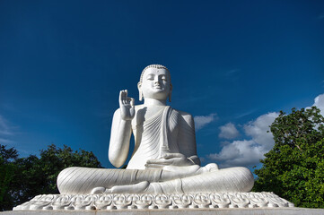 Fototapeta premium travels