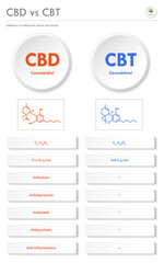 CBD vs CBT, Cannabidiol vs Cannabitriol vertical business infographic illustration about cannabis as herbal alternative medicine and chemical therapy, healthcare and medical vector.