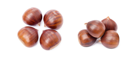 Chestnuts isolated on white background