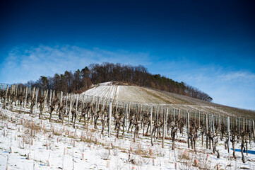 A beautiful shot of a snowy vineyard with a forest on a hill and a blue cloudy sky in the background.