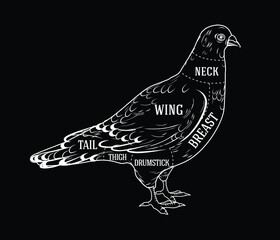 Butcher diagram guide for cutting pigeon in black and white graphic style