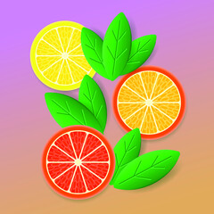 Lemon, orange and grapefruit with green leaves. Round slices of citrus fruit. Fresh Fruit Set