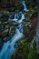 Fototapeta premium Scene of a stream in a river into the forest of Arrazola, Basque Country