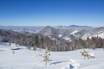 Fototapeta na wymiar Beautiful winter landscape from the Serbian mountain Tara. View of the snow-capped distant hills.