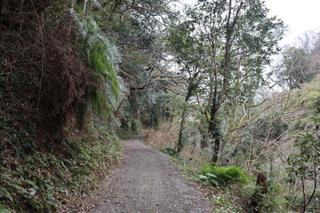 高知県奈半利町　琵琶ヶ滝