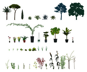 Set of Plants