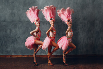 Women in cabaret costume with pink feathers plumage dancing samba - obrazy, fototapety, plakaty