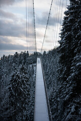 Hängebrücke im Winter über einem Nadelwald im Schwarzwald