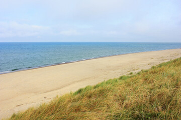 Fototapeta na wymiar Sandy coast of the Baltic Sea
