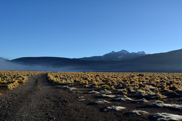 Atacama desert - geysers valley in El Tatio in Chile