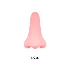 Human organ collection. Vector flat modern anatomical icon color illustration. Nose smell sense symbol. Front view. Health care medical sign.