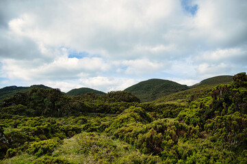 Obraz premium travels