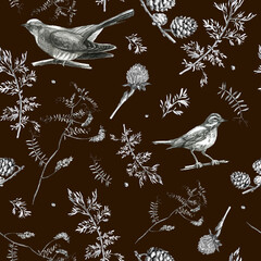 Illustration, pencil. A pattern of leaves and branches of plants, birds. Freehand drawing of flowers on brown background.
