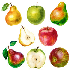 Fruit, watercolor illustration set. Apples, pears. Half a pear, an apple slice.