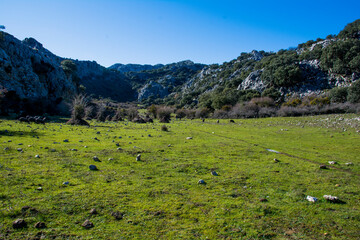 Naklejka premium Mountain landscape with mountains in the distance