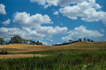 field and blue sky