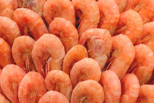 Shrimps Filling Background. Many Shrimps Texture.