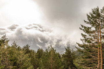 Snowy landscapes, in the month of February, in the mountains of Madrid