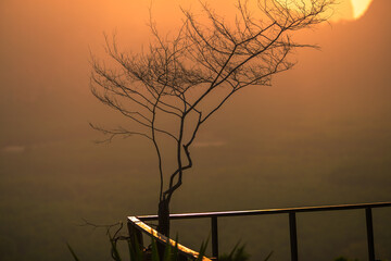 Fototapeta premium Wallpaper blurred nature of the twilight light in the evening by the large water basin surrounded by big trees, the integrity of the forest