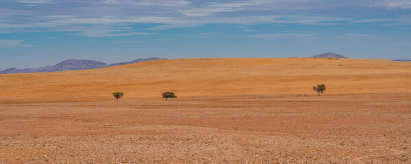 Landscape of Namib-Naukluft National Park is a national park of Namibia, panorama
