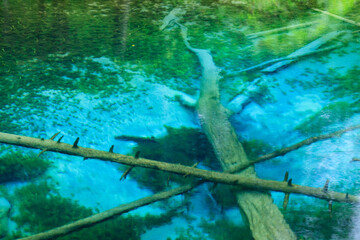 阿寒摩周国立公園　神の子池
