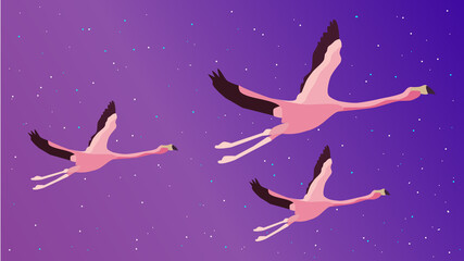 Obraz na płótnie Canvas abstract flamingo,vector illustration,illustration flamingo,flamingo background