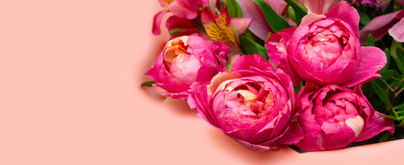 Fototapeta premium peony flowers, peony-shaped roses, on a beige background, space for text. greeting card