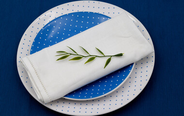 Food table decoration, set of flat plate and dessert in blue tones with polka dots, tablecloth save and green branch as an ornament