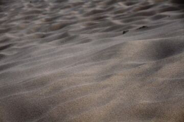 desert