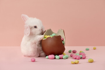 Cute white Easter bunny rabbit with chocolate egg and colorful sweets on pink background - 417125559