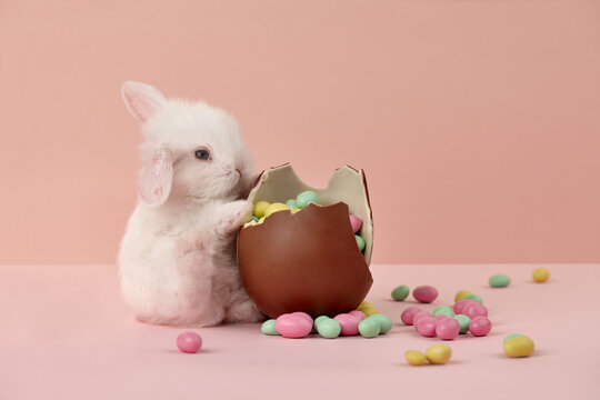 Cute white Easter bunny rabbit with chocolate egg and colorful sweets on pink background