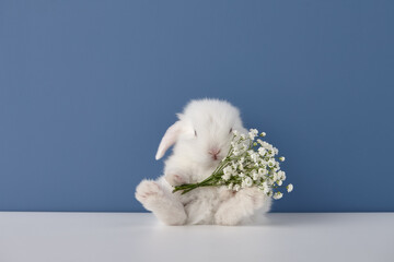 Baby rabbit with white flowers bouquet on blue background. Spring Easter concept.