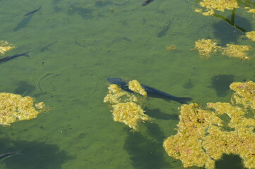 Villa of Tiberius in Sperlonga, Italy