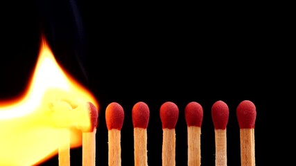 Close up burning match setting fire to a row of unlit matches isolate on black background. Concept the passion of one ignites ideas change others, creative, and inspiration.