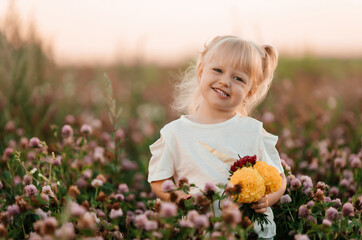 Happy little girl on a flower field in summer. Girl with ponytails looking at the camera and smiling.