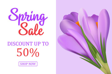 Spring sale banner with the first flowers . Vector illustration. Flyers, invitations, posters, brochures, discount on the voucher.