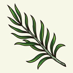 Green tropical plant leaf concept