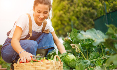 Young girl taking care of her vegetable garden - Concept of new organic business