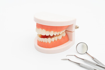 Dentist tool care set and tooth model  on white