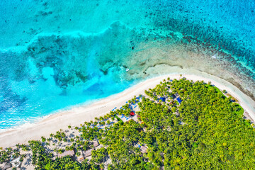 Paradise tropical island nature background. Top aerial drone view of beautiful beach with turquoise sea water and palm trees. Saona island, Dominican republic.